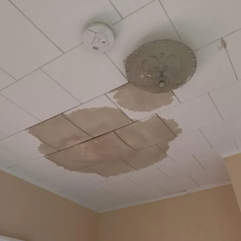 Ceiling Water Damage Repair in Altavista, VA