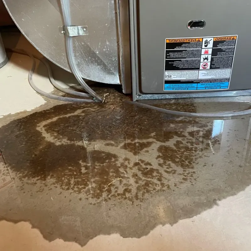 Pipe Burst and Leak Restoration in Altavista, VA