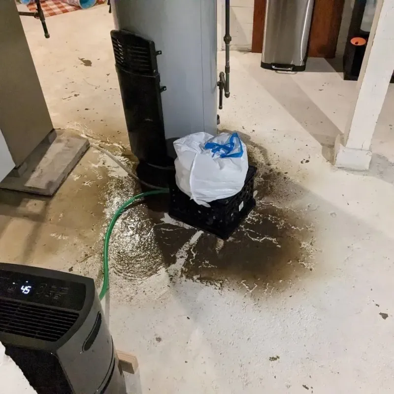 Sewage Backup Cleanup Service in Altavista, VA